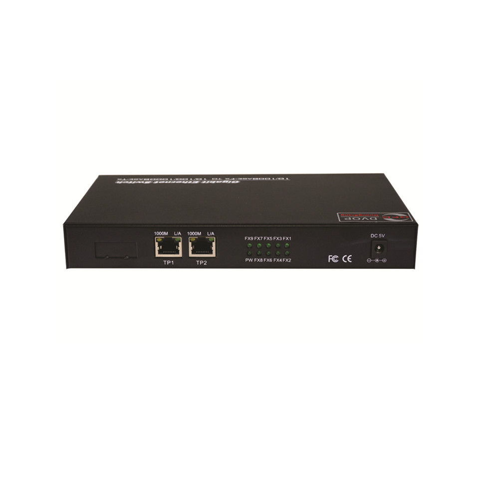 DVOP-IN-IM-EG2-OM8   8 100 Gbit/s optical 2 Gbit/s Layer 2 optical switch