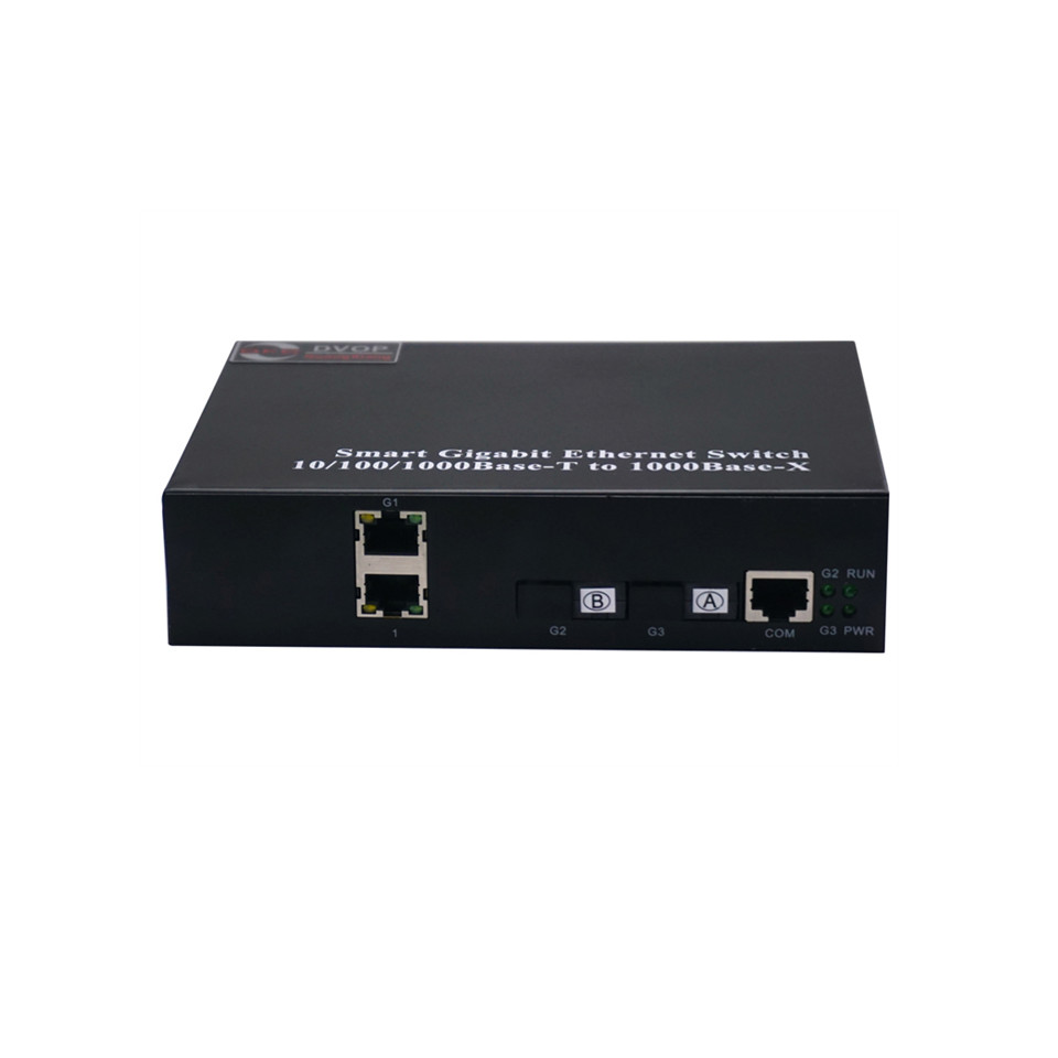 DVOP-IN-IR-EG2-OG2  Full Gigabit 2 optical 2 electric loop network self-healing management Fibre Channel switch